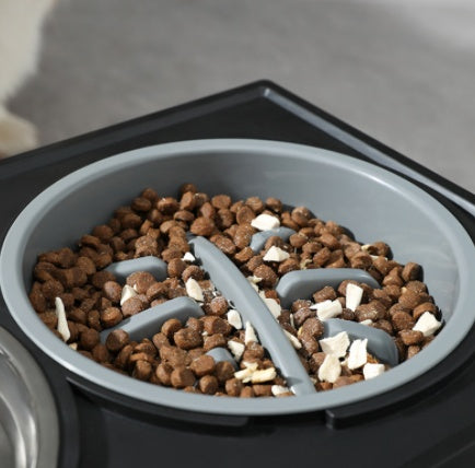 Elevated Dog Bowl for comfy Anti-choke Feeding