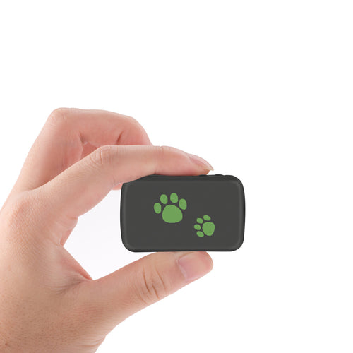 Pet  GPS Tracker